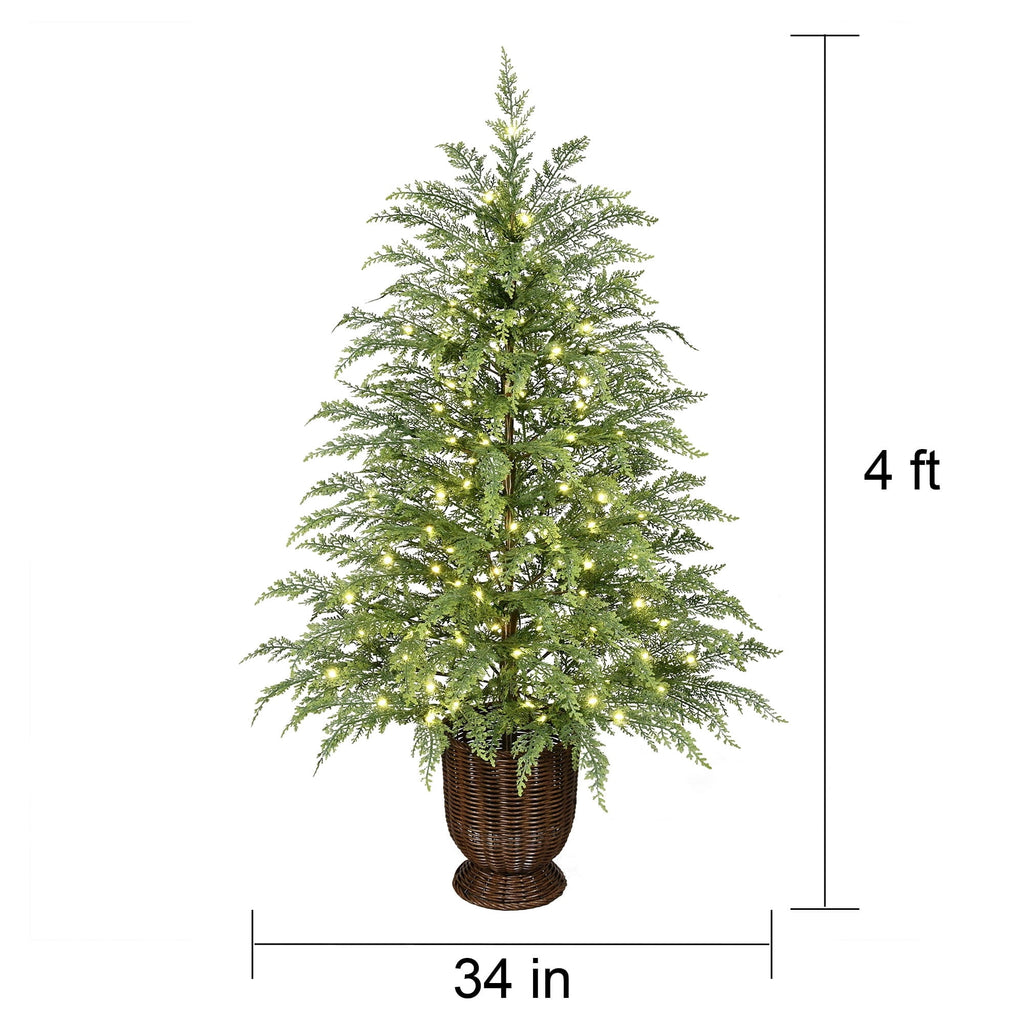My Texas House 4' Pre-Lit Cypress Green Artificial Christmas Tree with 100 Warm White Twinkle LED Lights in Woven Basket
