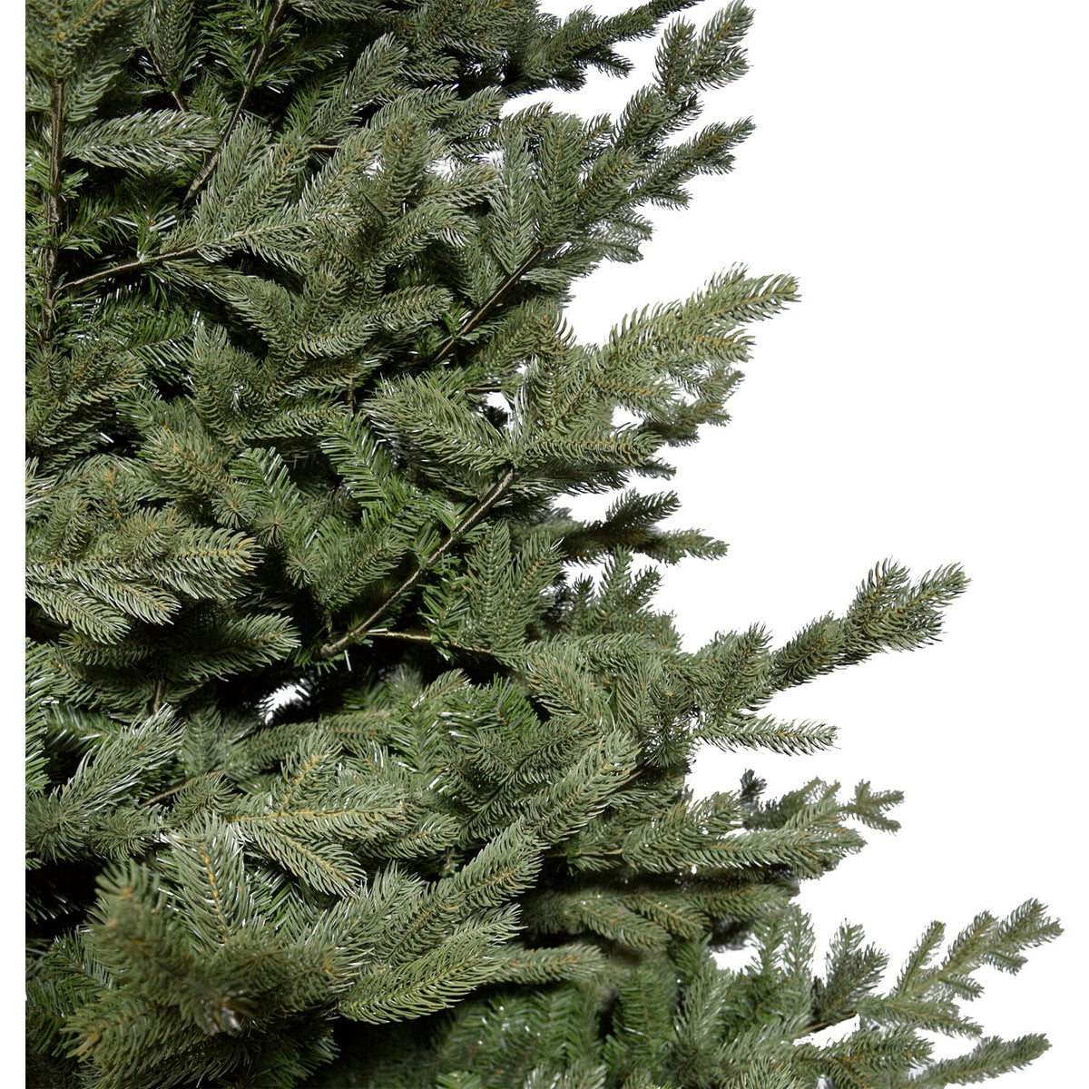 Fraser Hill Farm 6.5-Ft. Foxtail Pine Christmas Tree, FFFX065-0GR